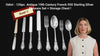 Odiot - 126pc. Antique 19th Century French 950 Sterling Silver Flatware Set + Storage Chest !